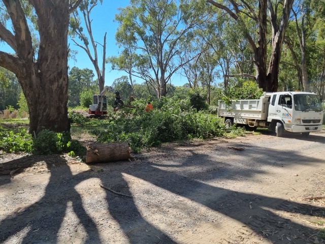 Woody Weed & Vegetation Management - 5