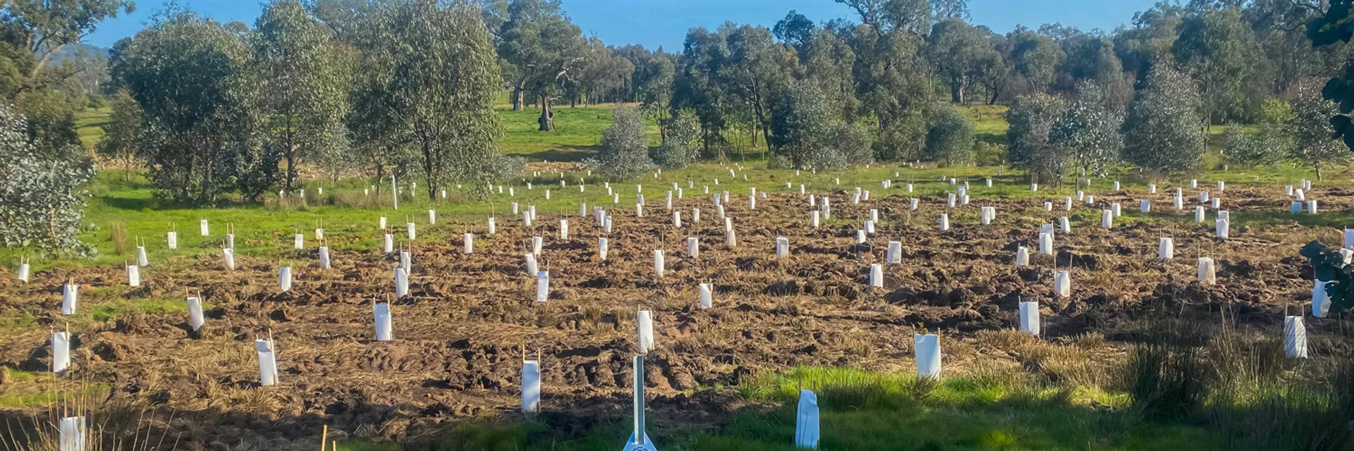 Woolshed Creek - Image 1