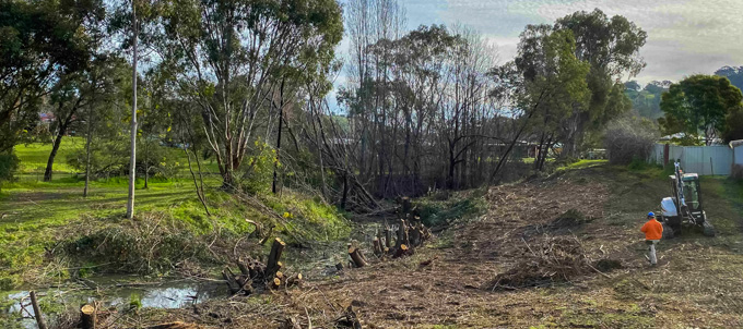 Willow Removal at Enviro Culture Services NSW & VIC