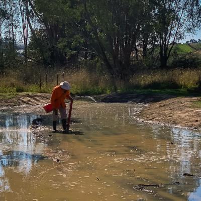 Daveys Road Interchange Thurgoona - Enviro Culture Albury